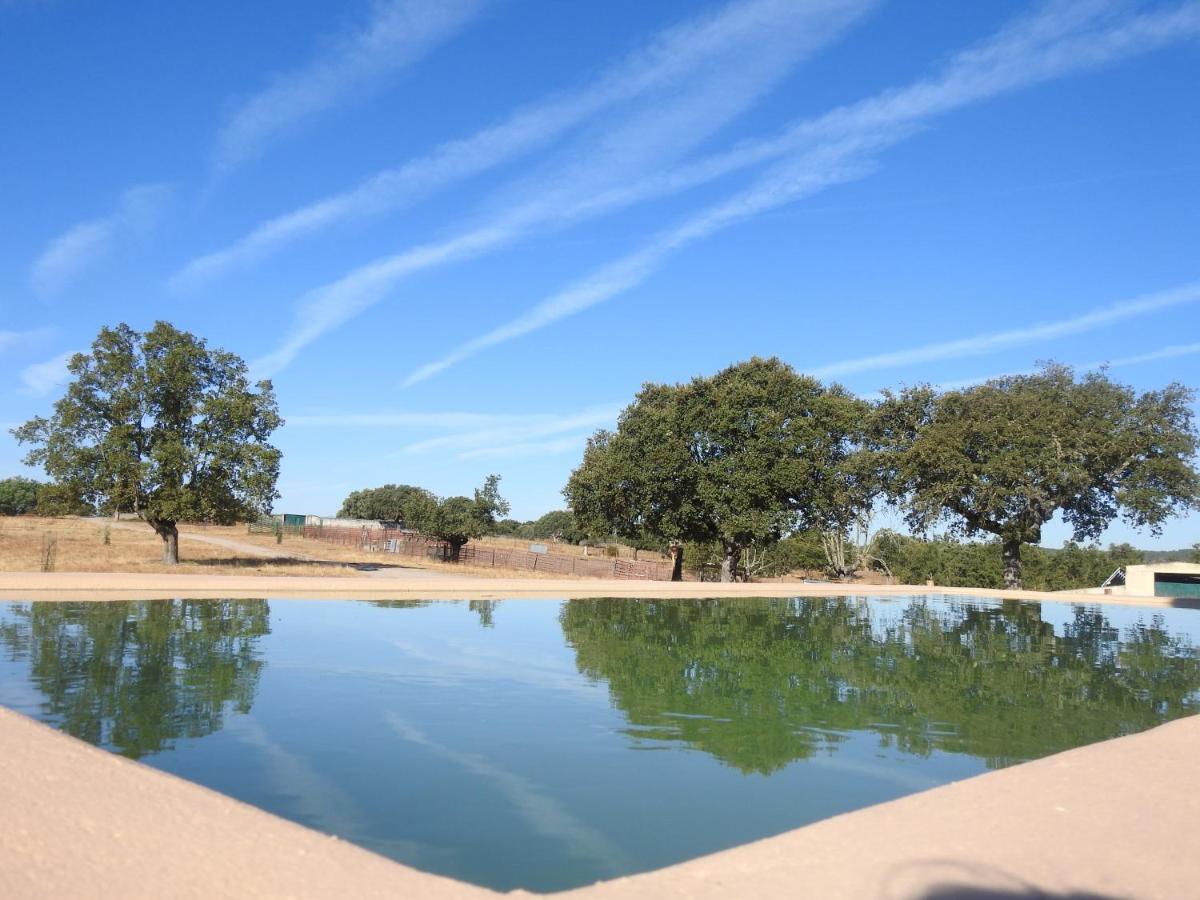 Eco-Lodge En La Reserva Privada Campanarios De Azaba - Proyecto De Conservacion Espeja Luaran gambar