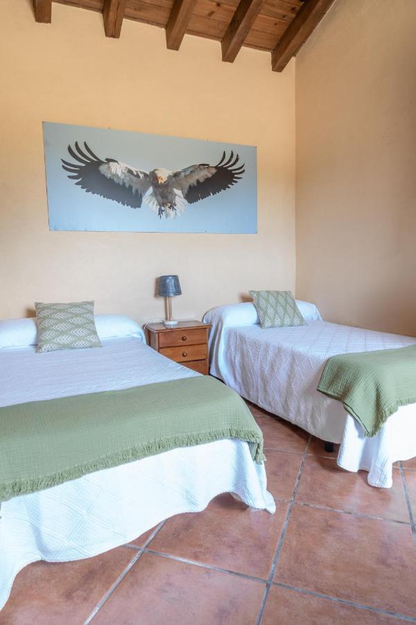 Eco-Lodge En La Reserva Privada Campanarios De Azaba - Proyecto De Conservacion Espeja Luaran gambar