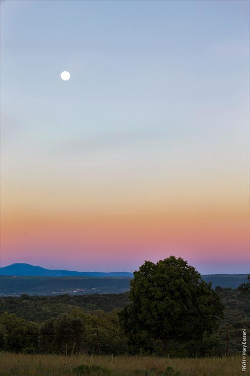 Eco-Lodge En La Reserva Privada Campanarios De Azaba - Proyecto De Conservacion Espeja Luaran gambar
