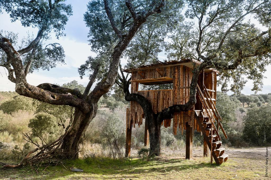 Eco-Lodge En La Reserva Privada Campanarios De Azaba - Proyecto De Conservacion Espeja Luaran gambar