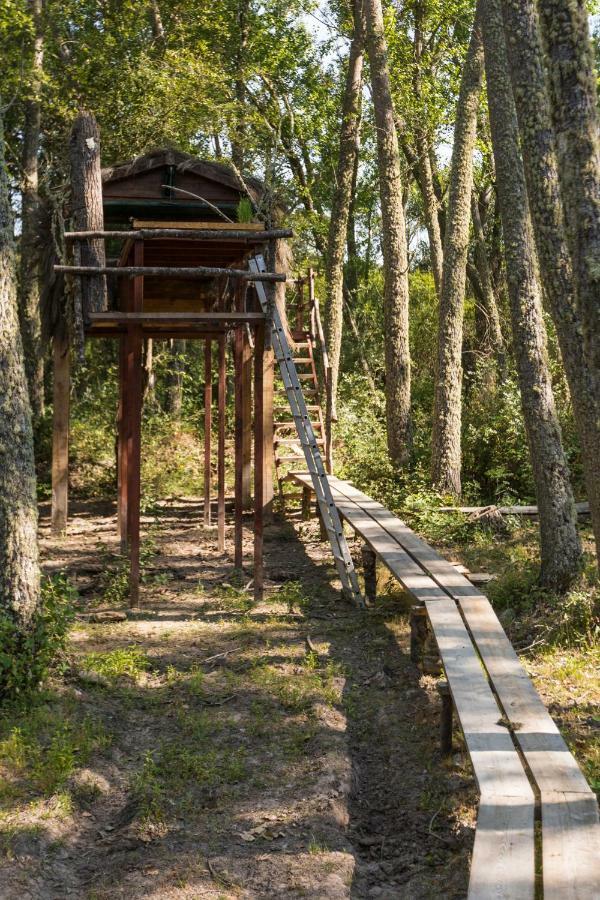 Eco-Lodge En La Reserva Privada Campanarios De Azaba - Proyecto De Conservacion Espeja Luaran gambar